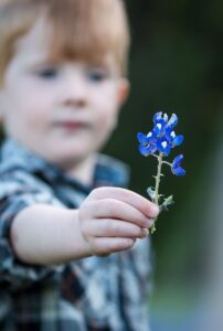 boy in gray and white stripe shirt holding blue flower
